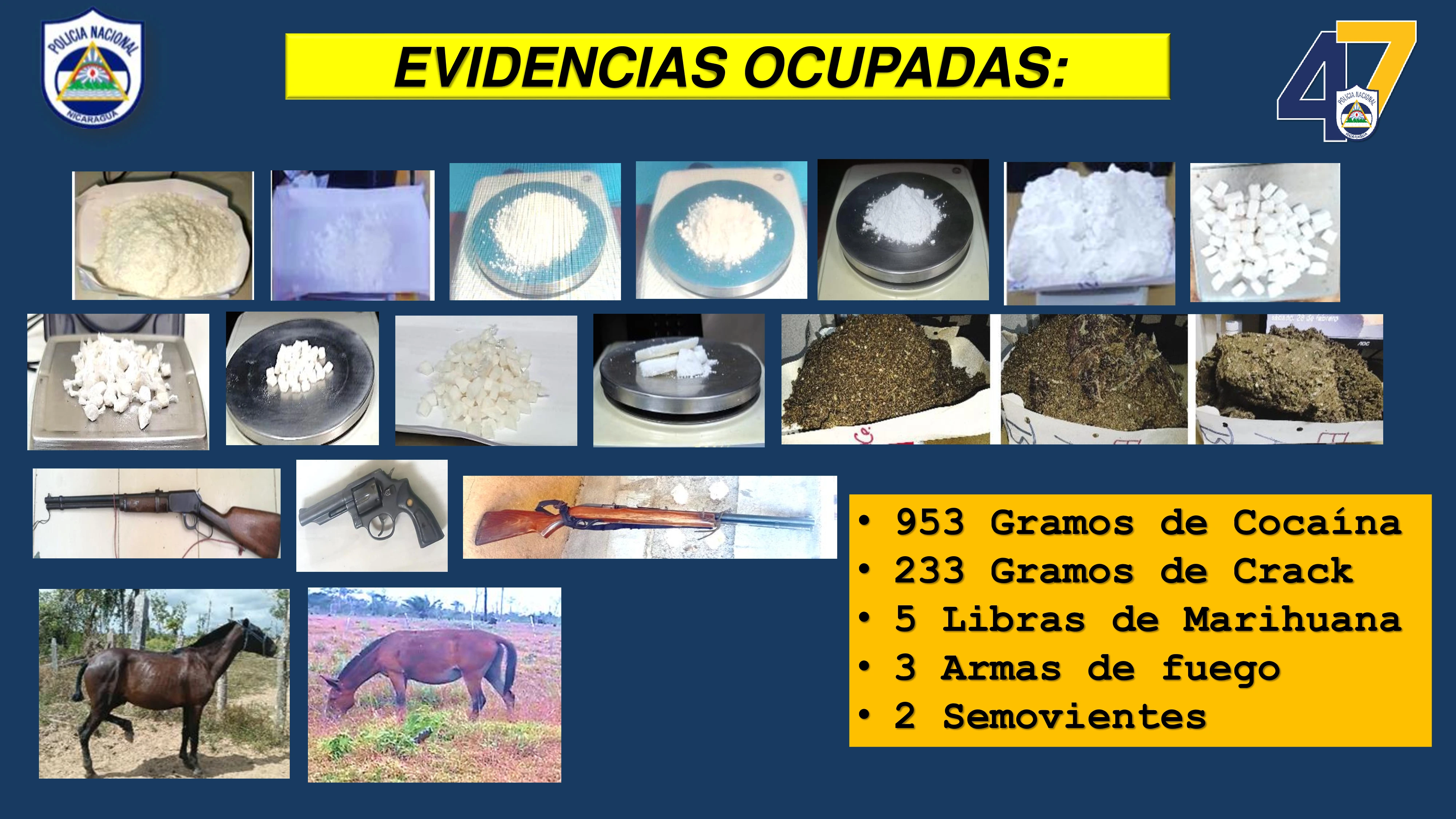 SEGURIDAD8