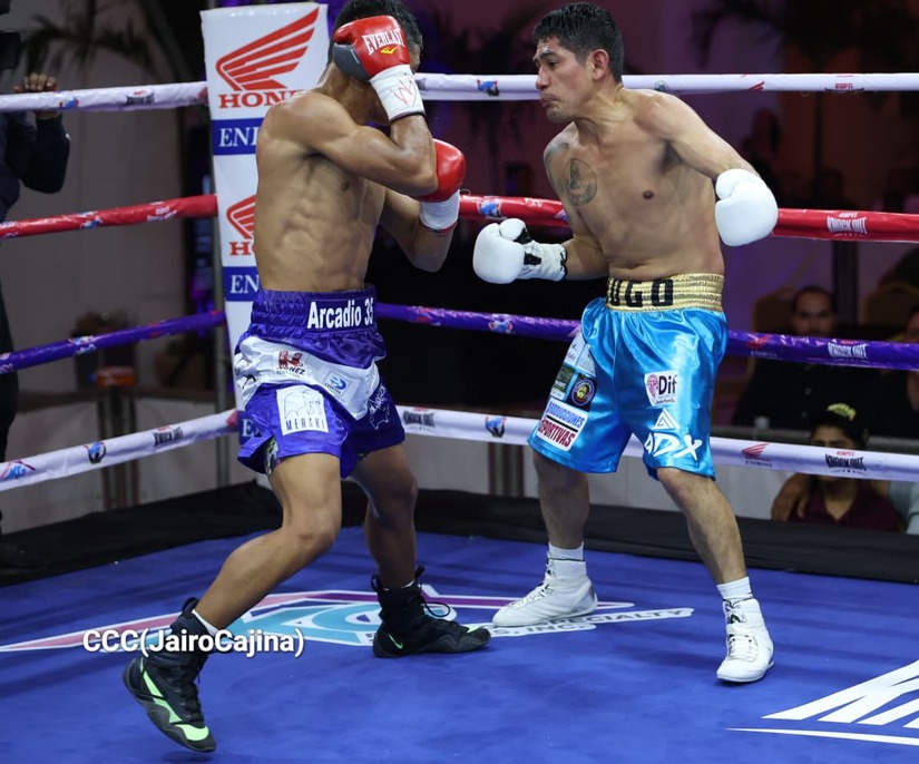 BOXEO--(100)