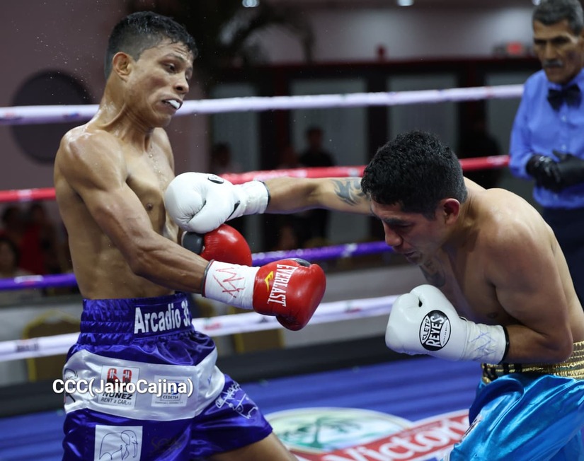 BOXEO--(101)