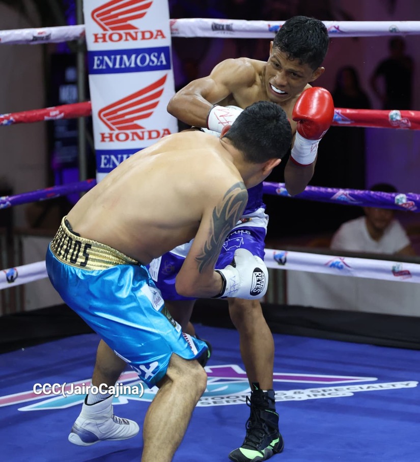 BOXEO--(102)