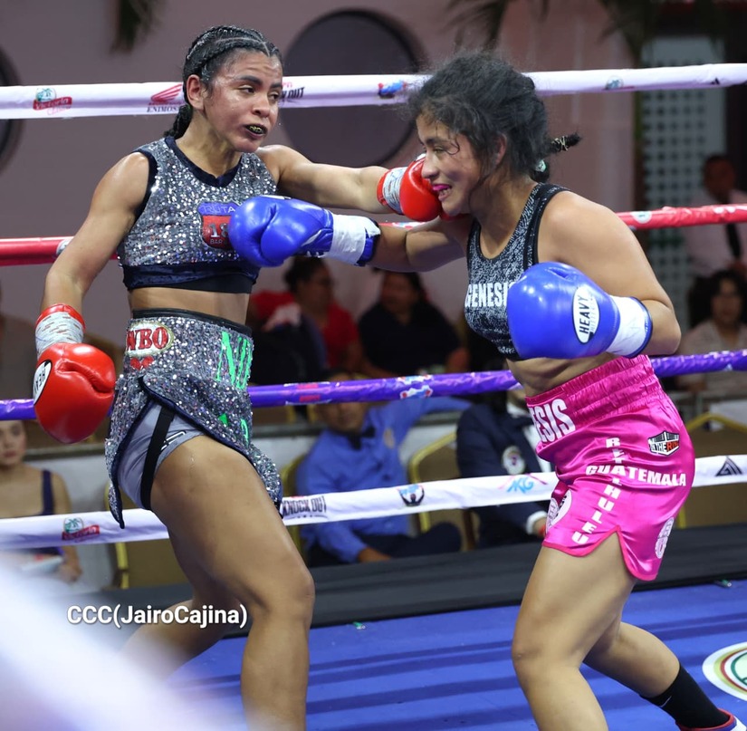 BOXEO--(12)