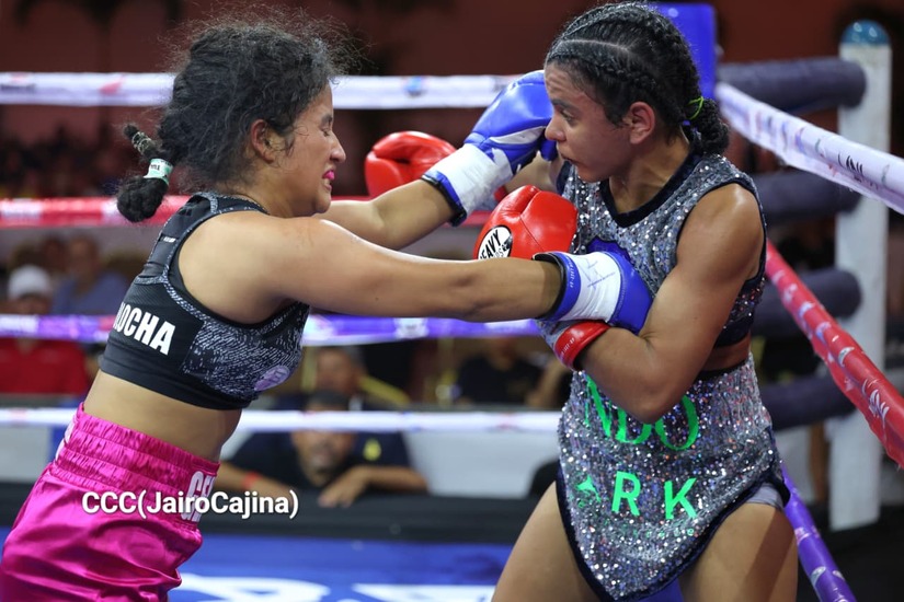 BOXEO--(15)