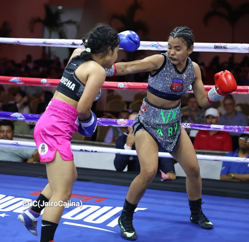 BOXEO--(16)