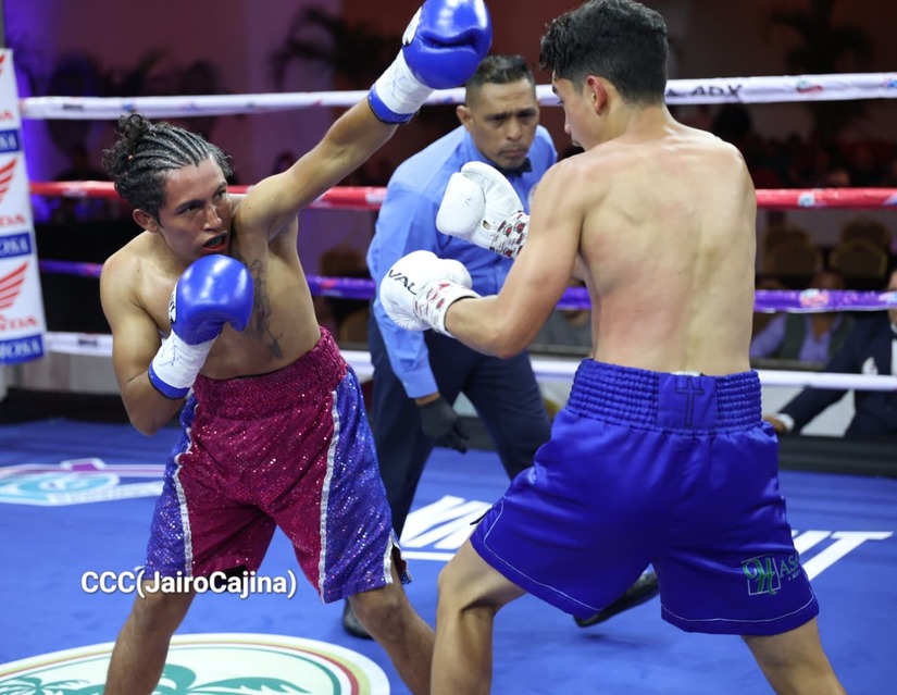 BOXEO--(31)