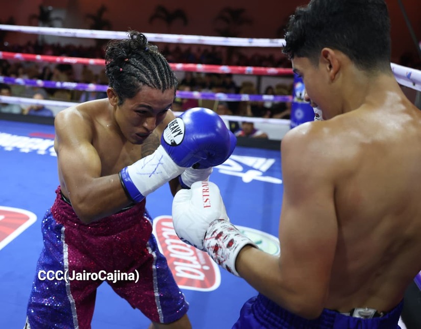 BOXEO--(33)