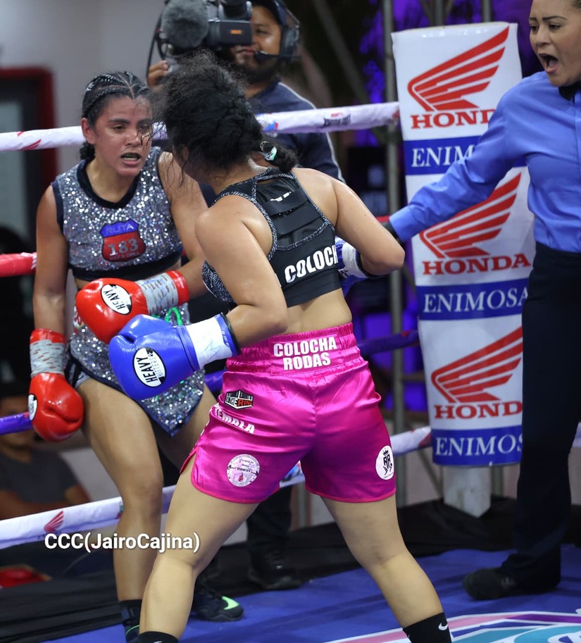 BOXEO--(4)