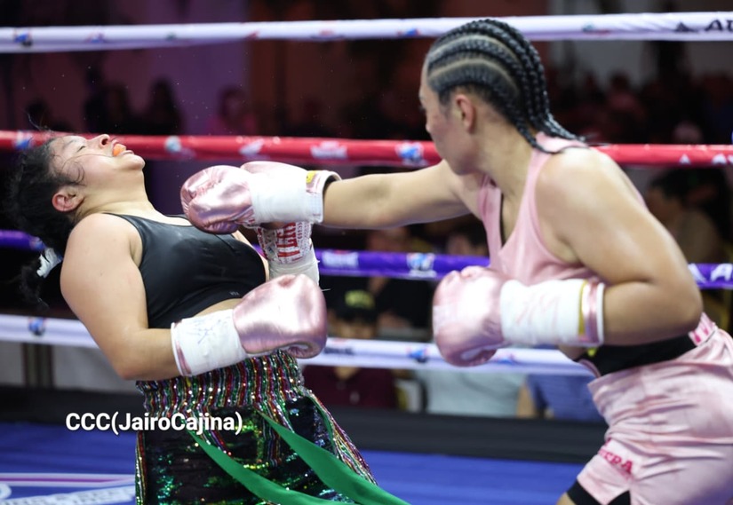 BOXEO--(40)