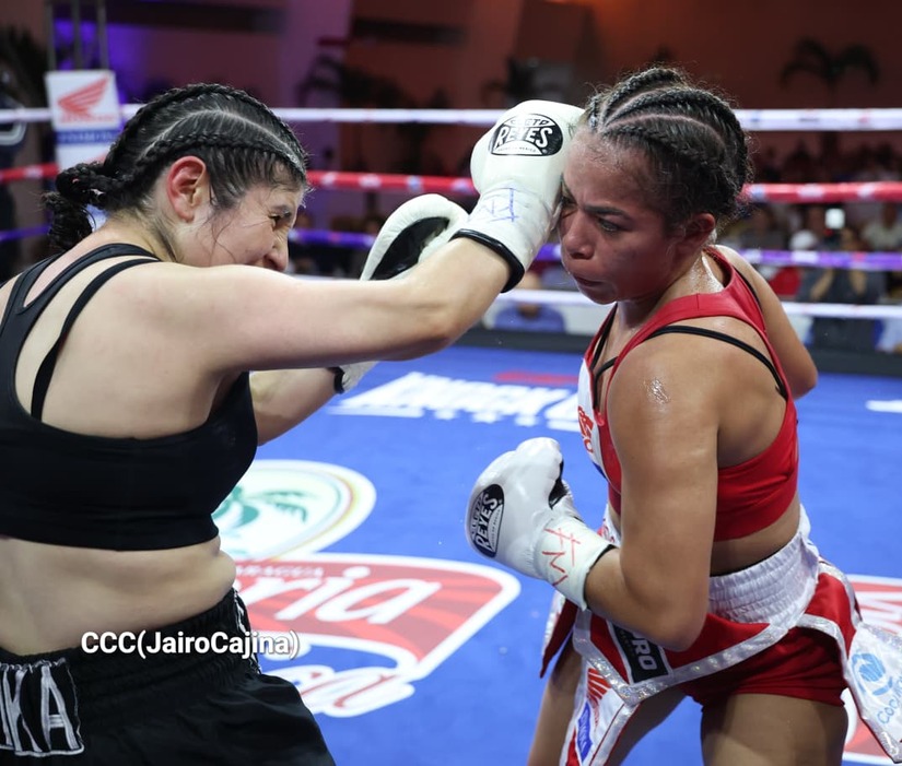 BOXEO--(51)