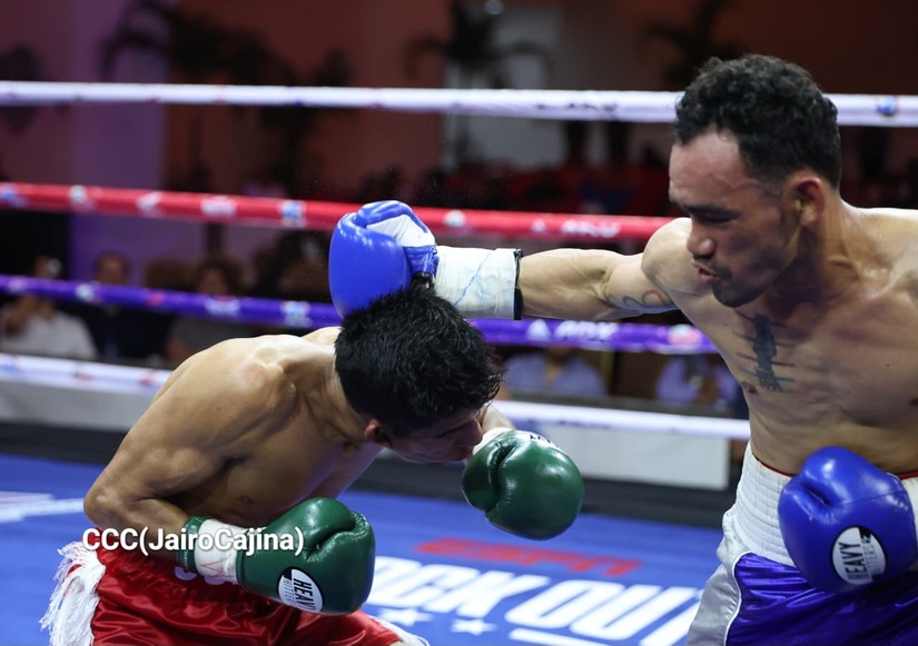 BOXEO--(81)