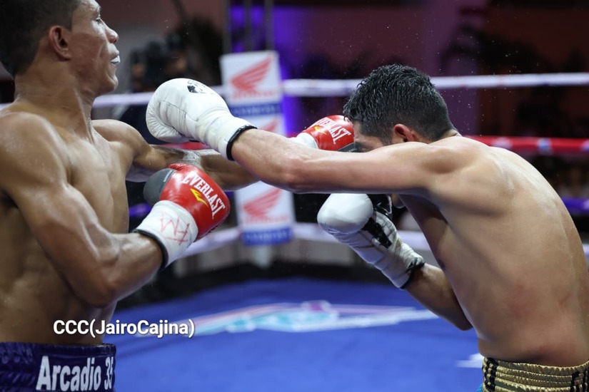 BOXEO--(87)