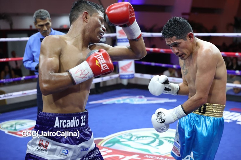 BOXEO--(89)