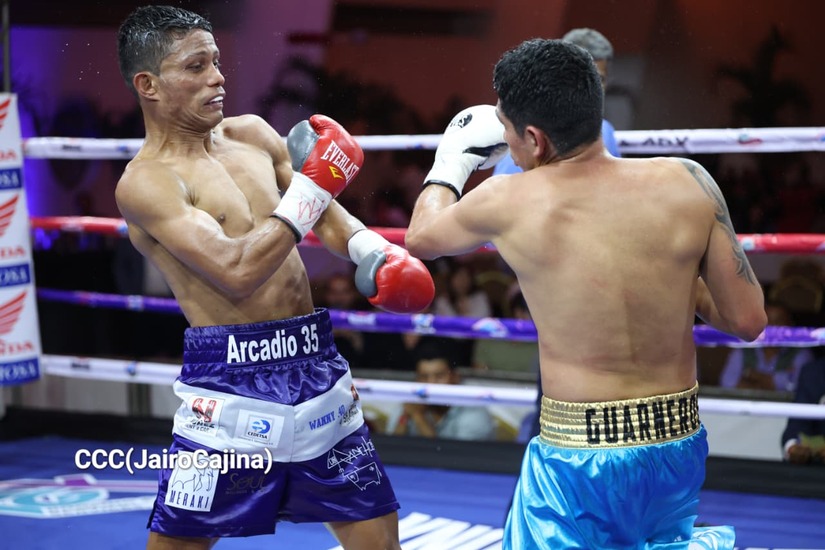 BOXEO--(95)