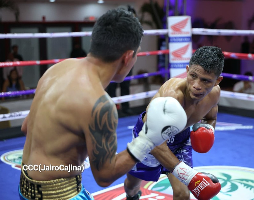 BOXEO--(96)
