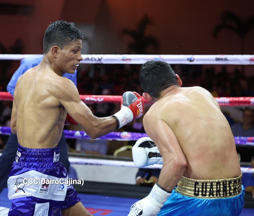 BOXEO--(97)