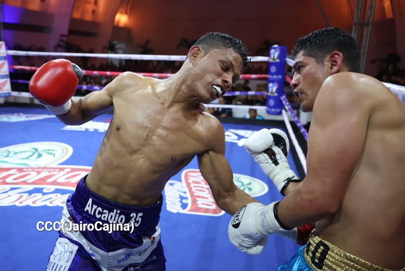BOXEO--(98)