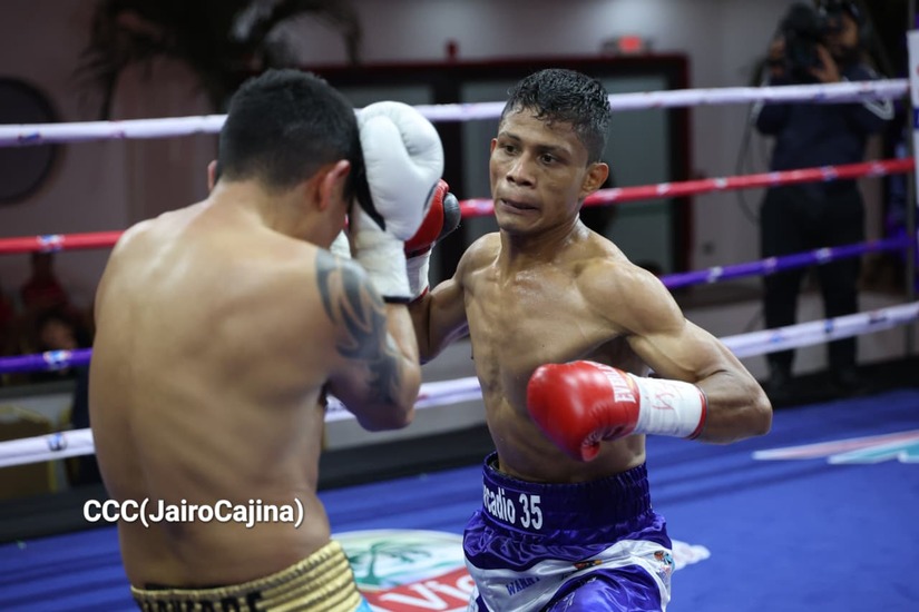 BOXEO--(99)