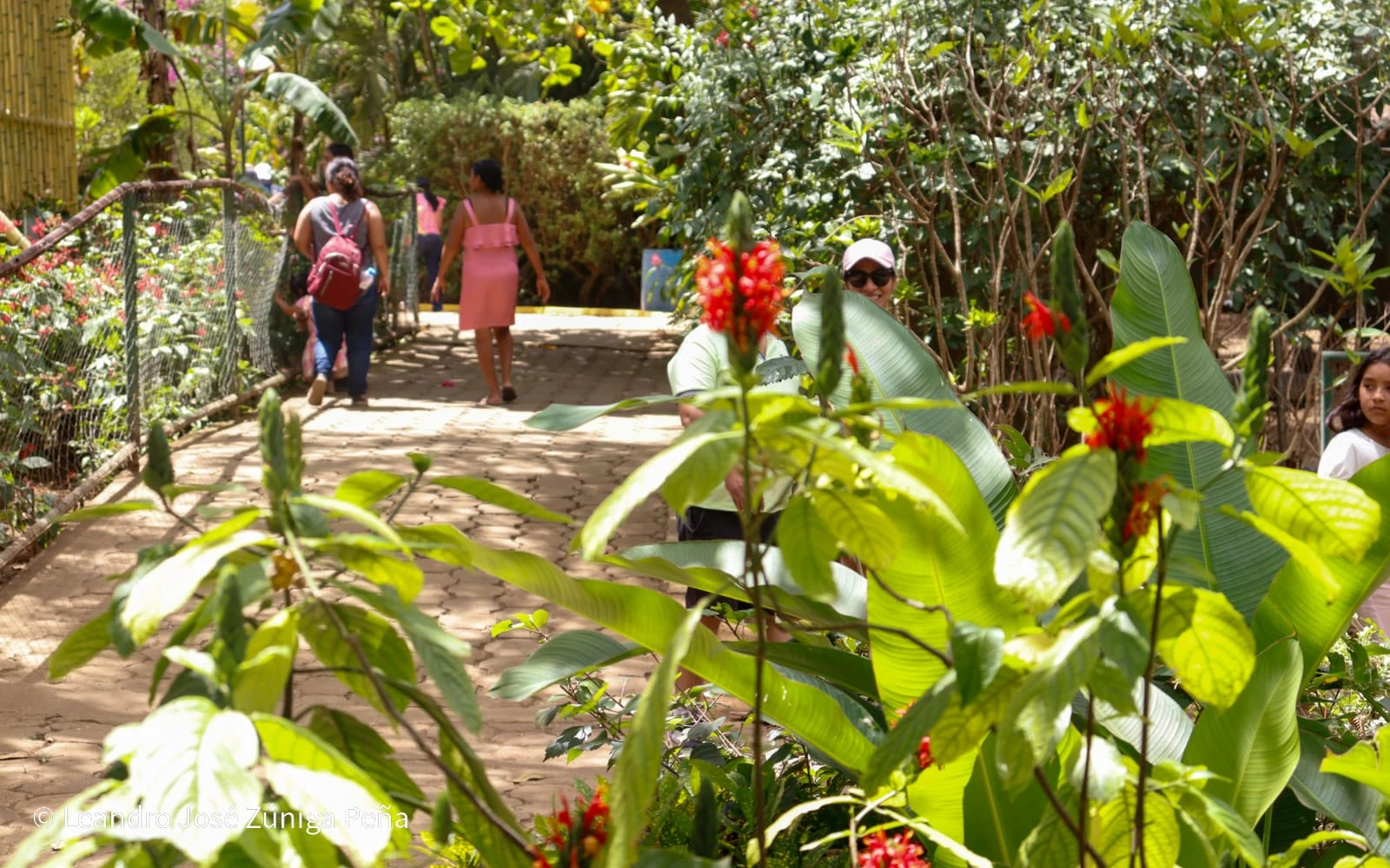 ZOOLOGICO-(11)