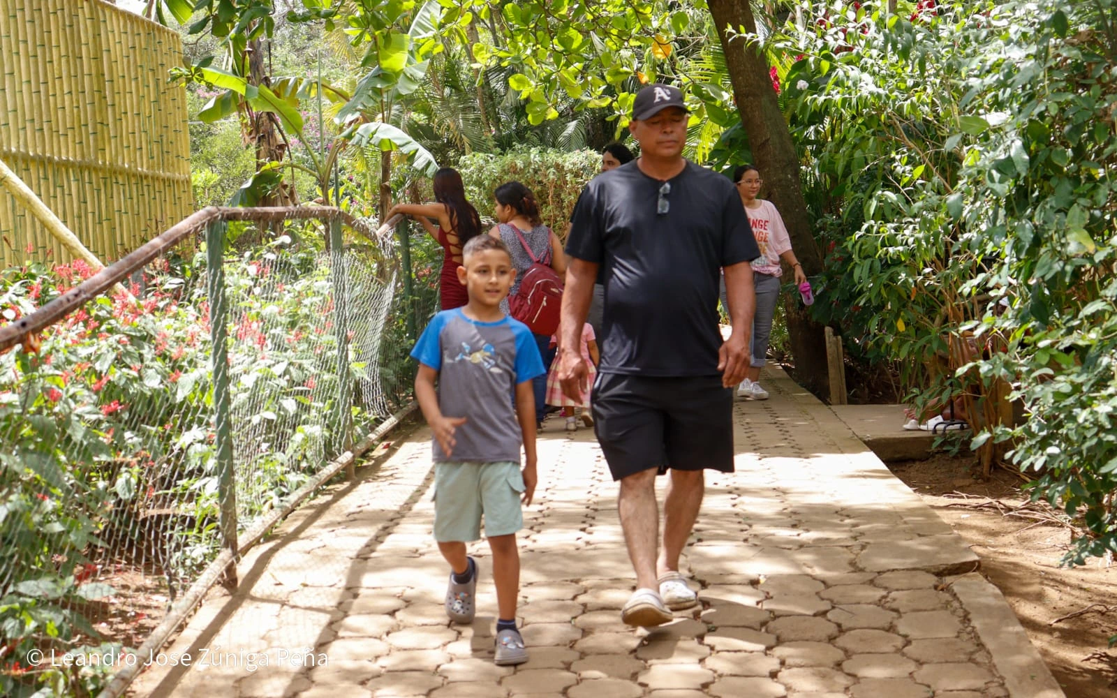 ZOOLOGICO-(13)