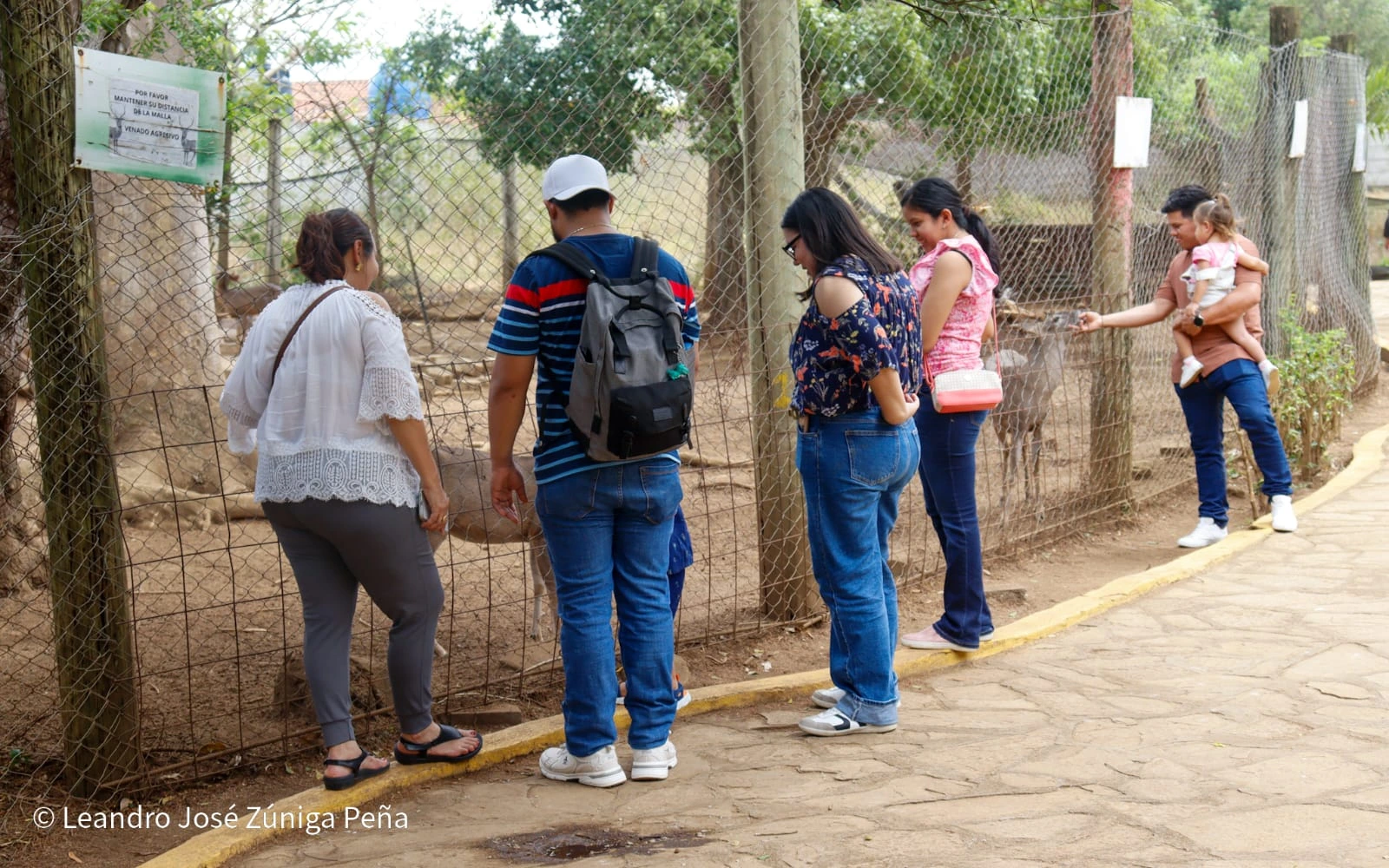 ZOOLOGICO-(18)