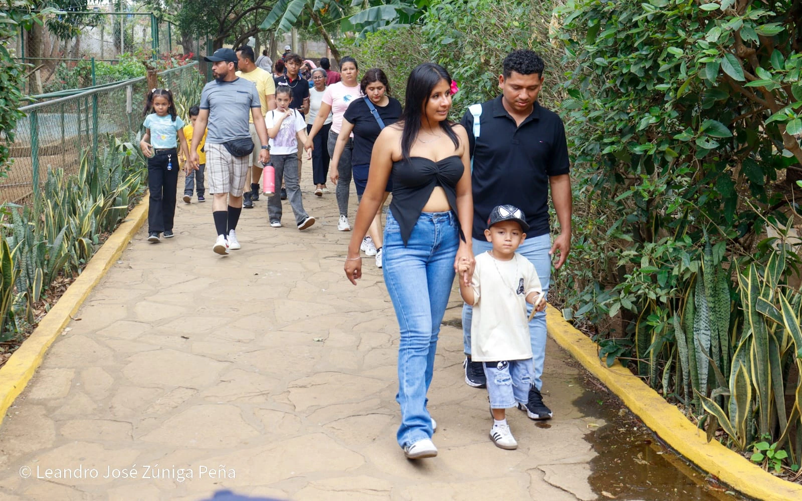 ZOOLOGICO-(19)