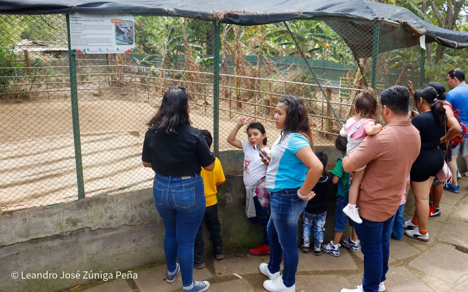 ZOOLOGICO-(25)