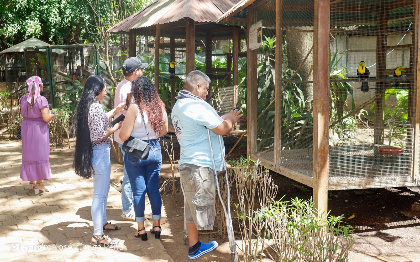 ZOOLOGICO-(33)
