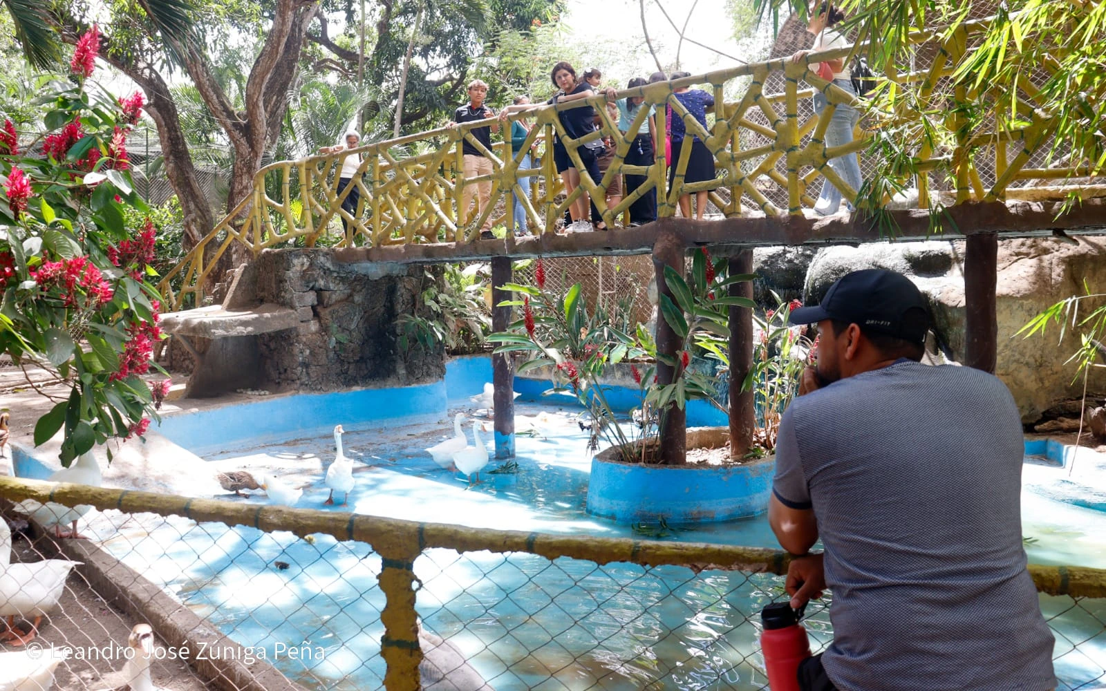ZOOLOGICO-(37)
