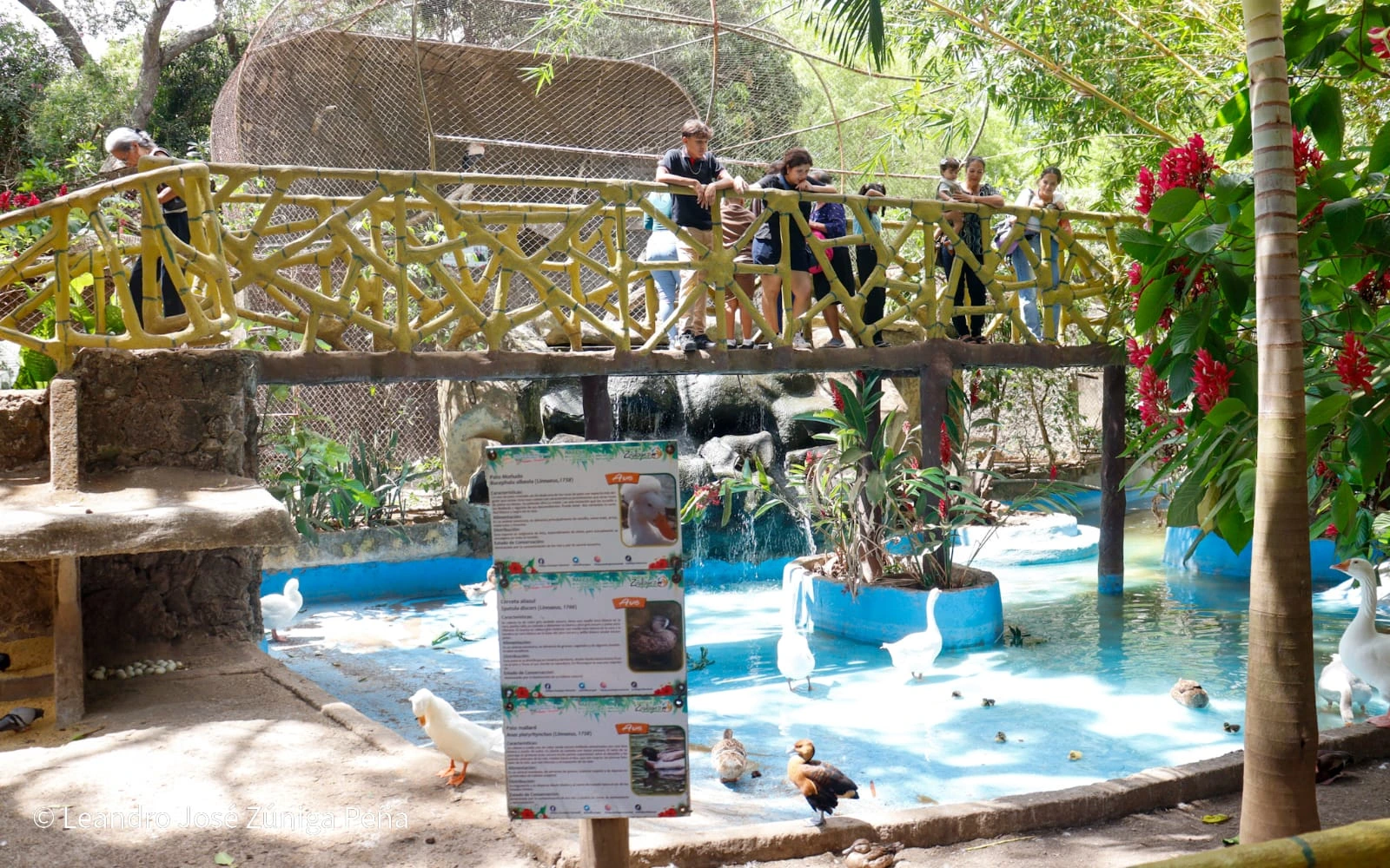 ZOOLOGICO-(39)