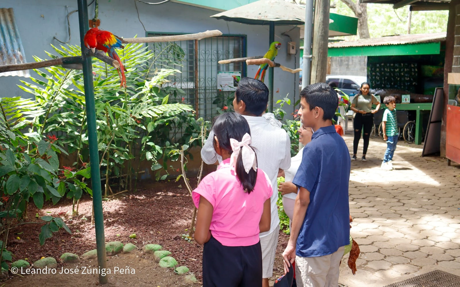 ZOOLOGICO-(5)