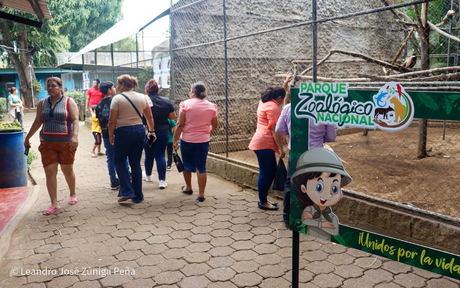 ZOOLOGICO-(6)