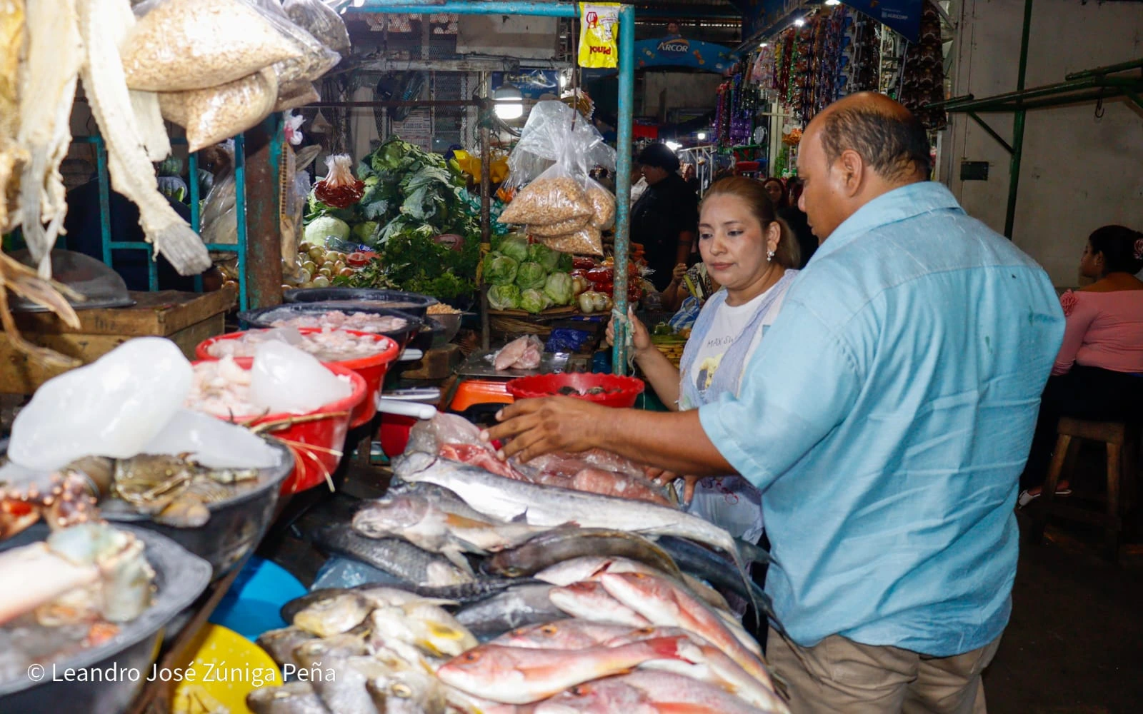 MERCADO13