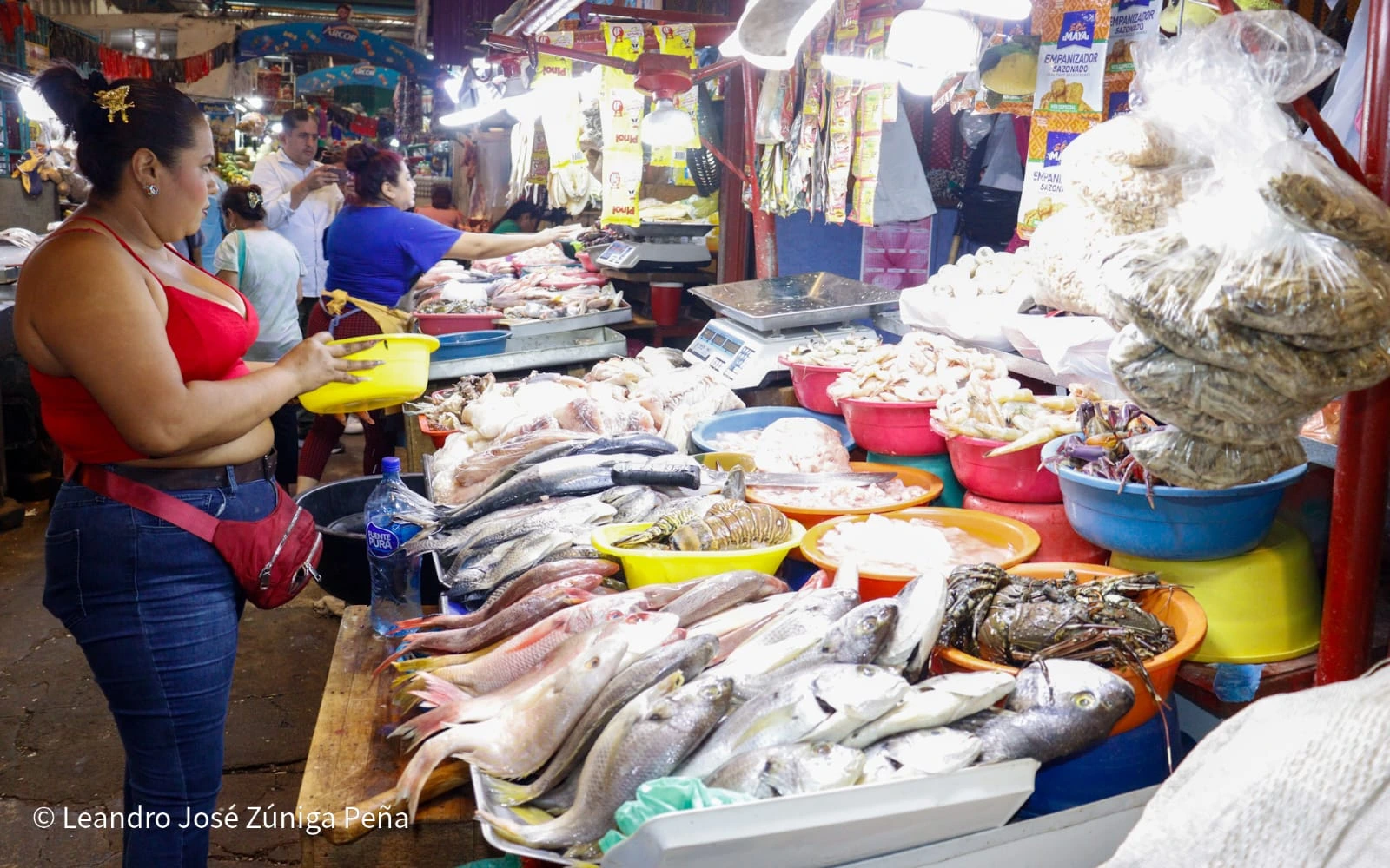MERCADO6