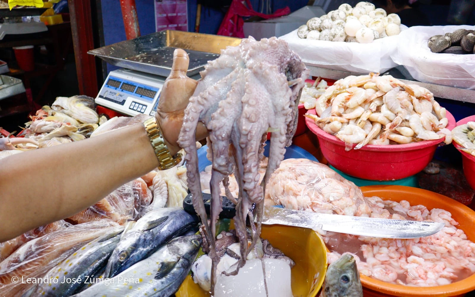 MERCADO9