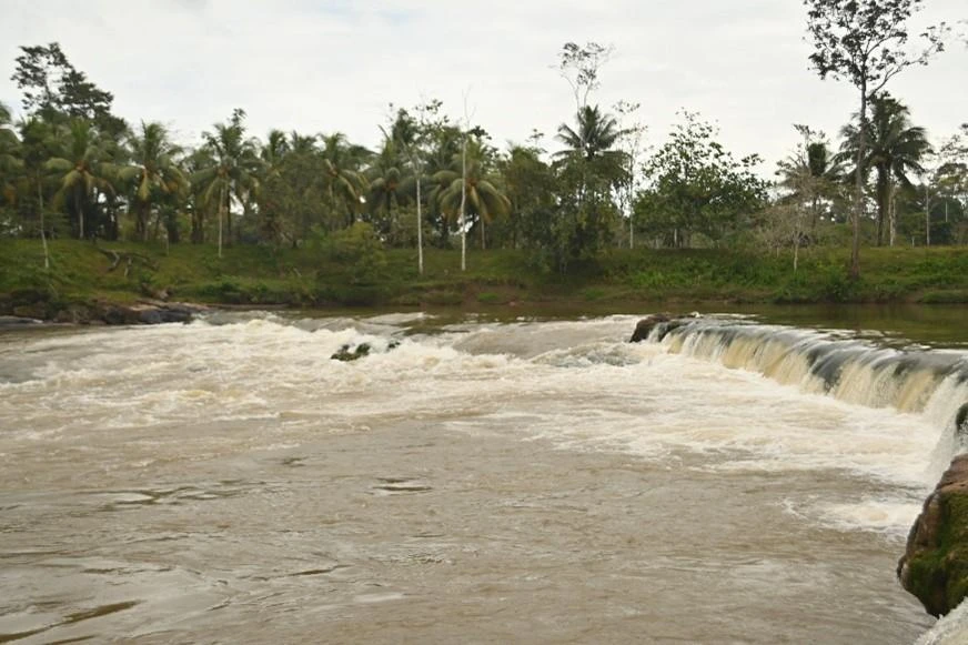 COSTA91