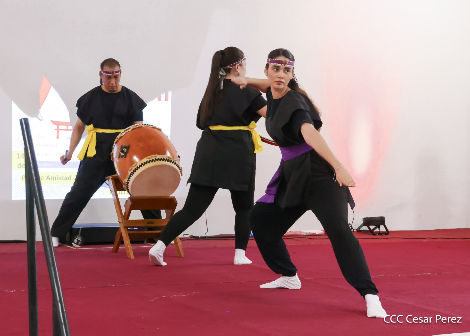 JAPON--(14)