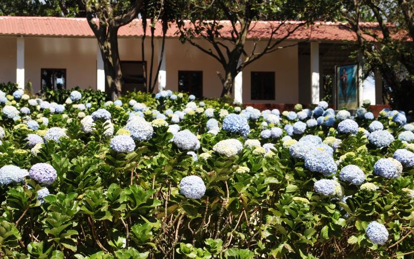 Mil-Flores--(10)