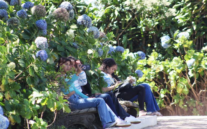 Mil-Flores--(12)