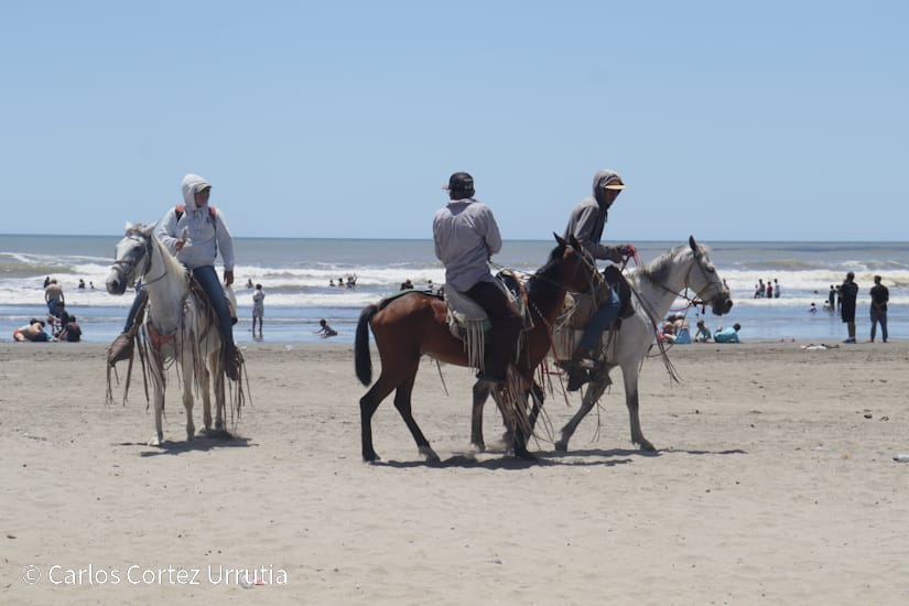 Verano--(35)