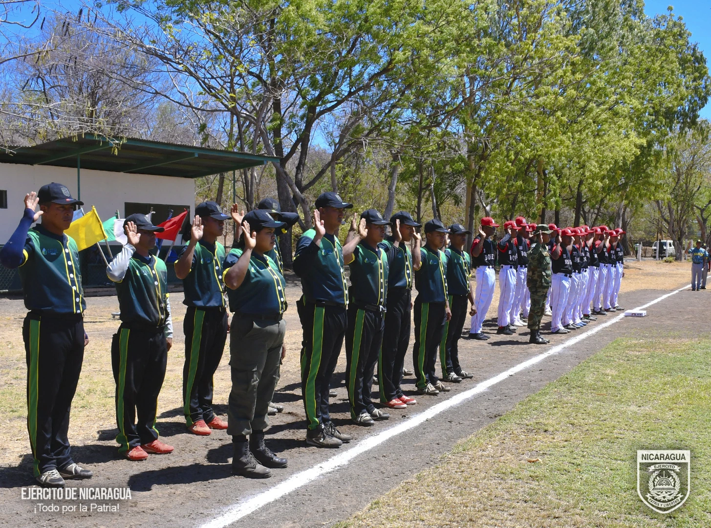 BEISBOL8