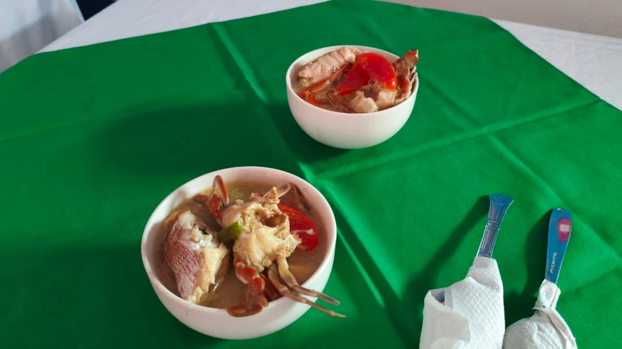 SABORES15