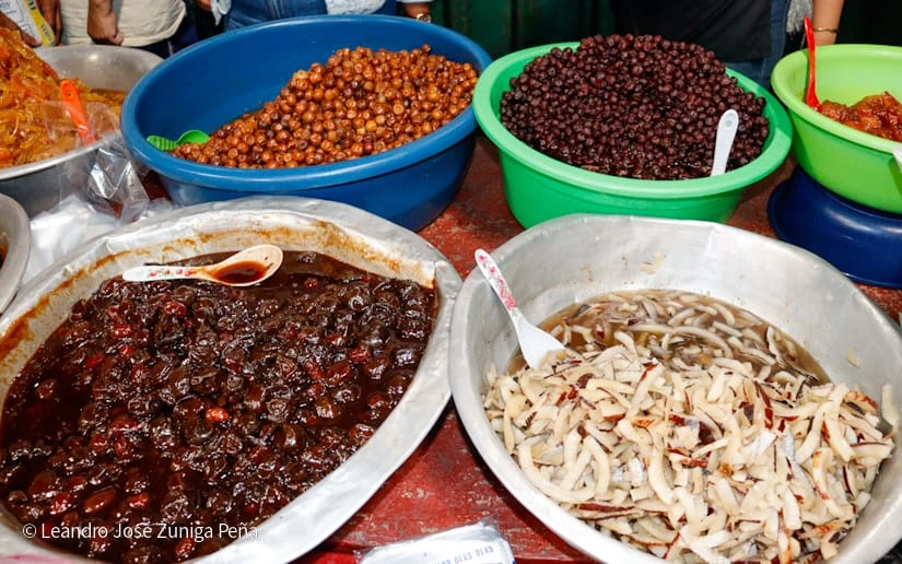 SABORES14