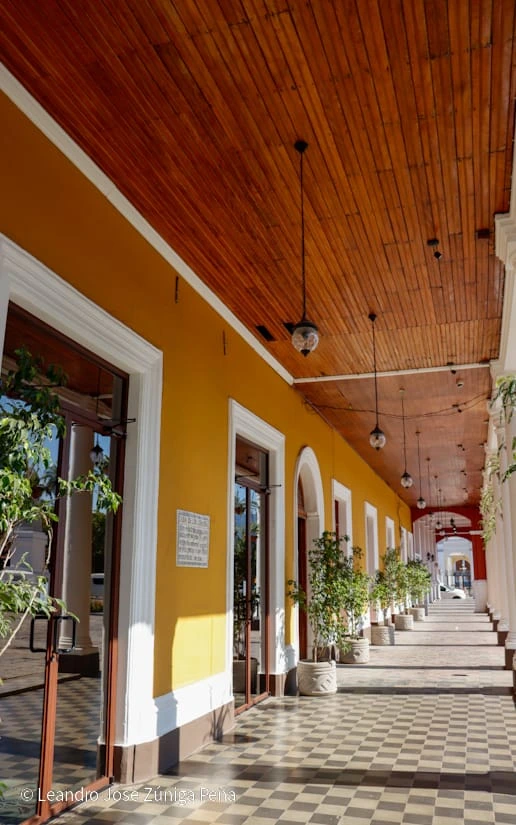 CASA-(20)