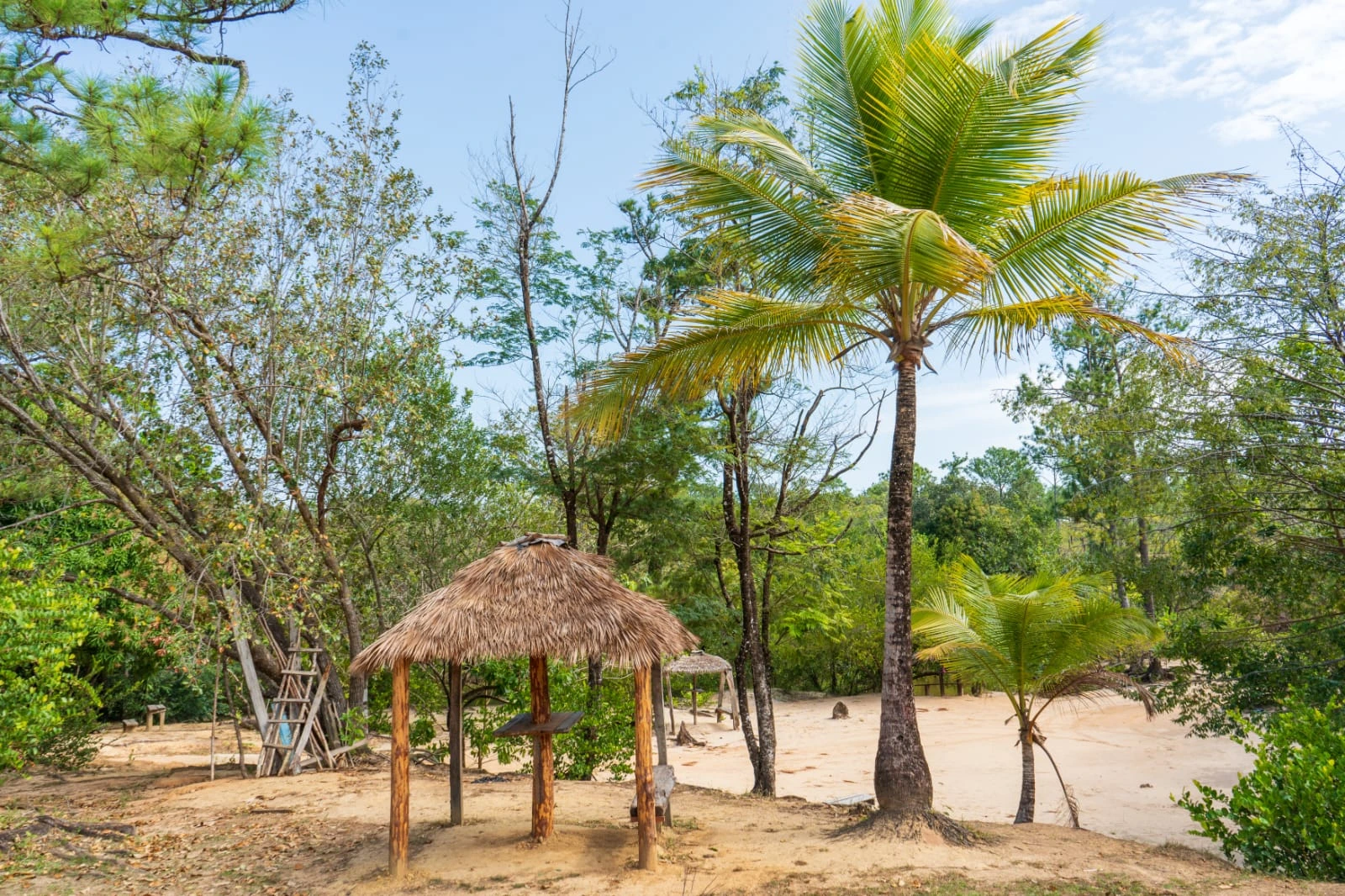 TUAPI-(1)
