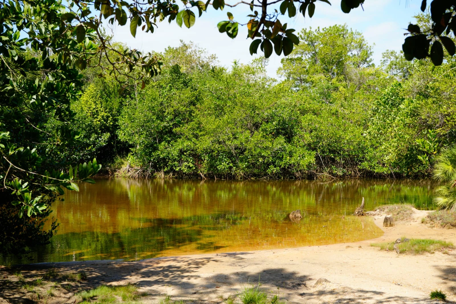 TUAPI-(14)