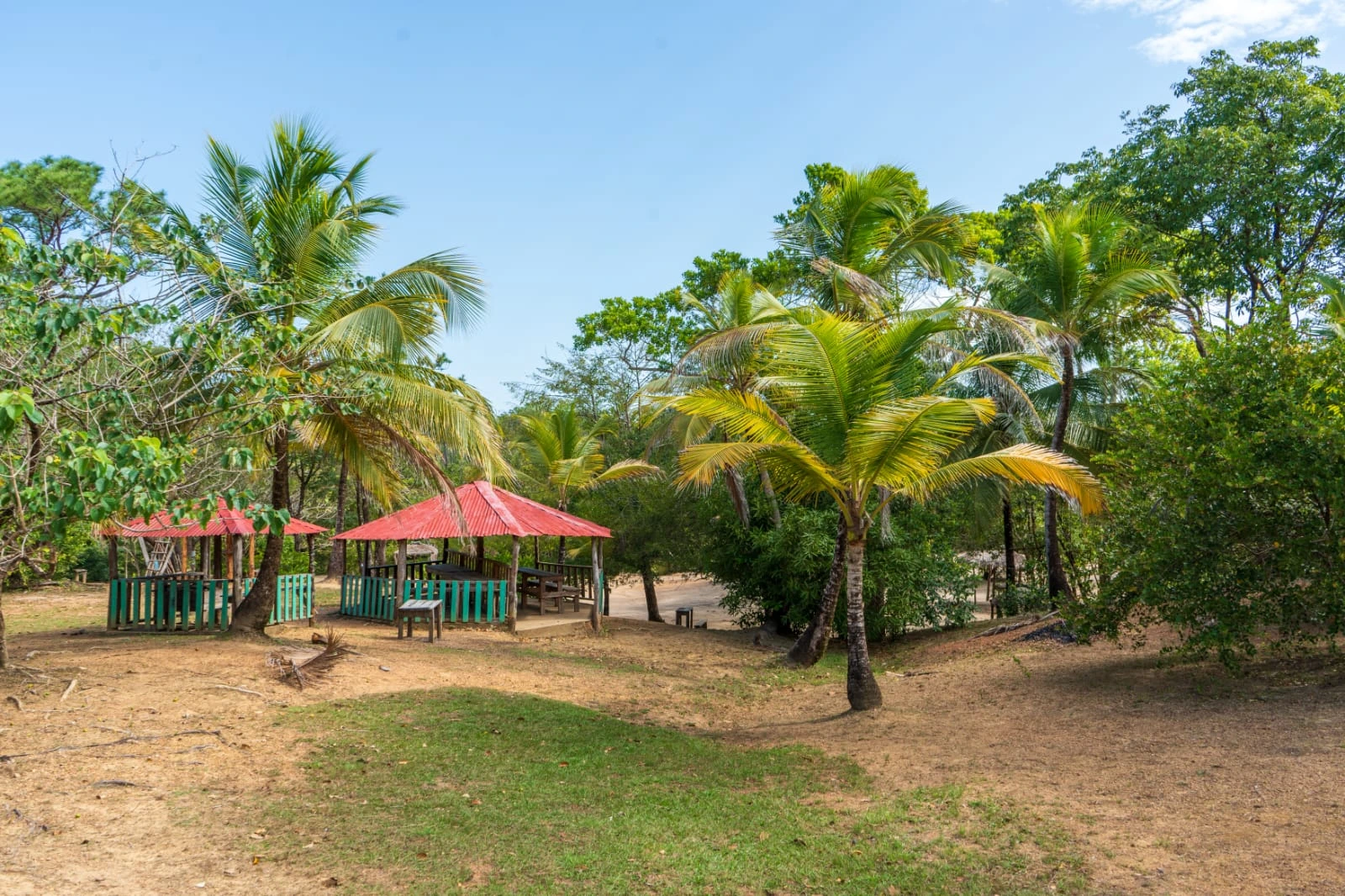 TUAPI-(23)