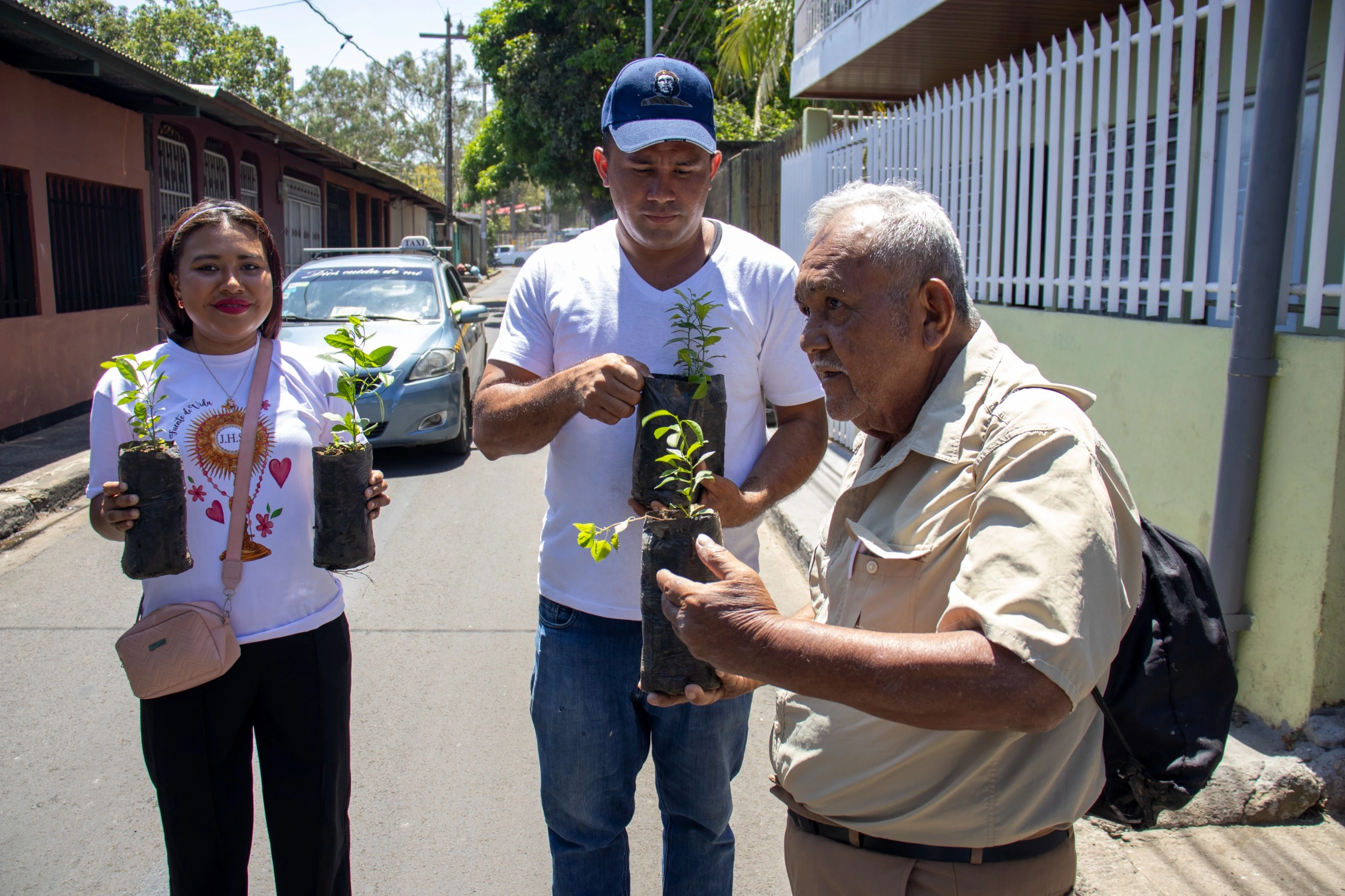 PLANTAS9