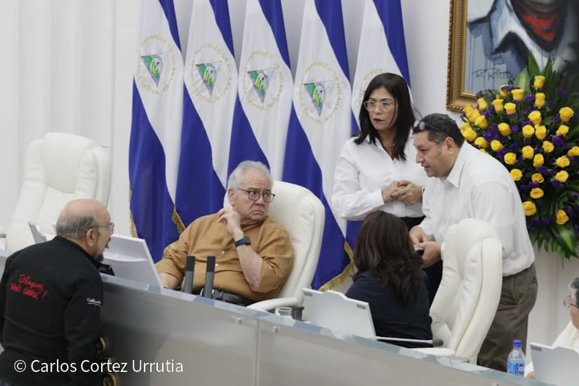 DECRETO13