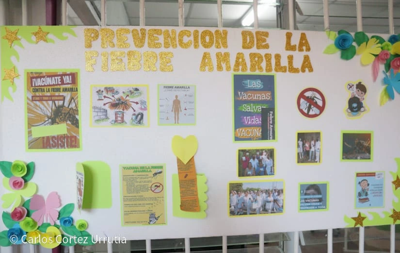 VACUNACION6
