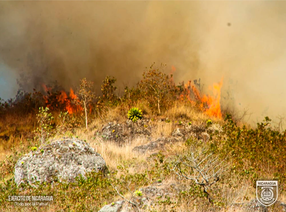 INCENDIO4