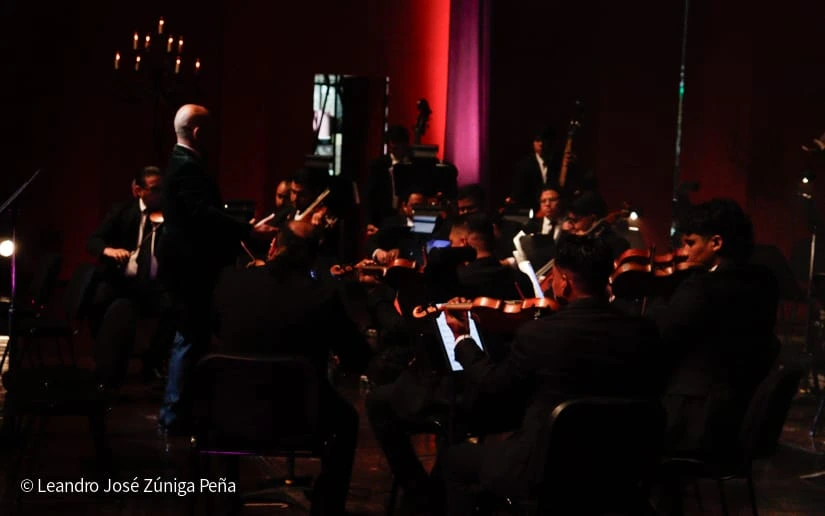 MOZART-(19)